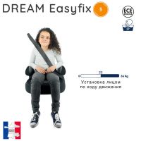 Бустер Nania Dream Easyfix (22-36 кг), Silver (Сильвер) - вид 7 миниатюра